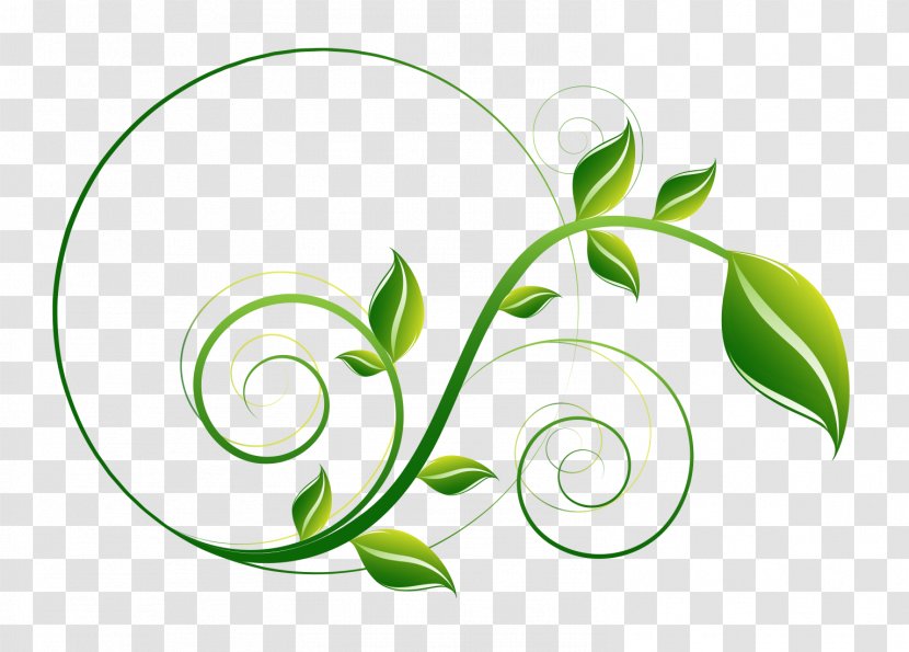 Leaf - Nature - Green Pattern Vector Transparent PNG