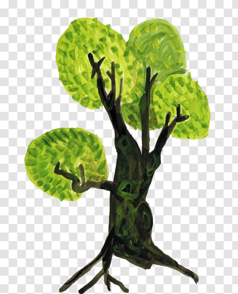 Drawing Tree - Plant - Drawn Transparent PNG