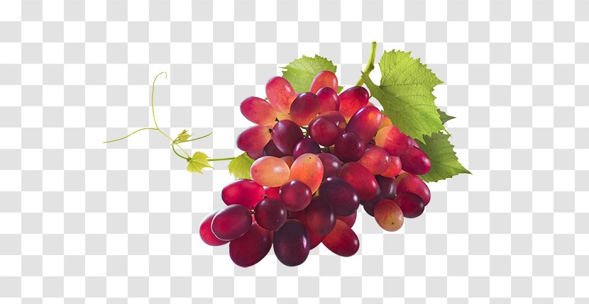Sultana Zante Currant Grape Chardonnay Pinot Noir - Plant - Meunier Transparent PNG