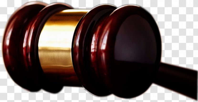 Mendoza Camacho & Sanchez Abogados Lawyer Statute Court Lawsuit - Despacho Transparent PNG