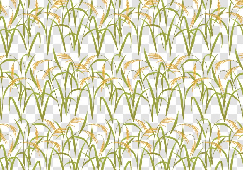 Leaf Grasses Yellow Plant Stem Pattern - Autumn Harvest Rice Field Transparent PNG