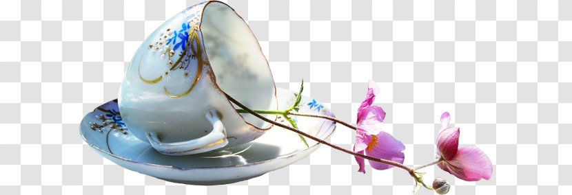 Coffee Clip Art - Flower Transparent PNG