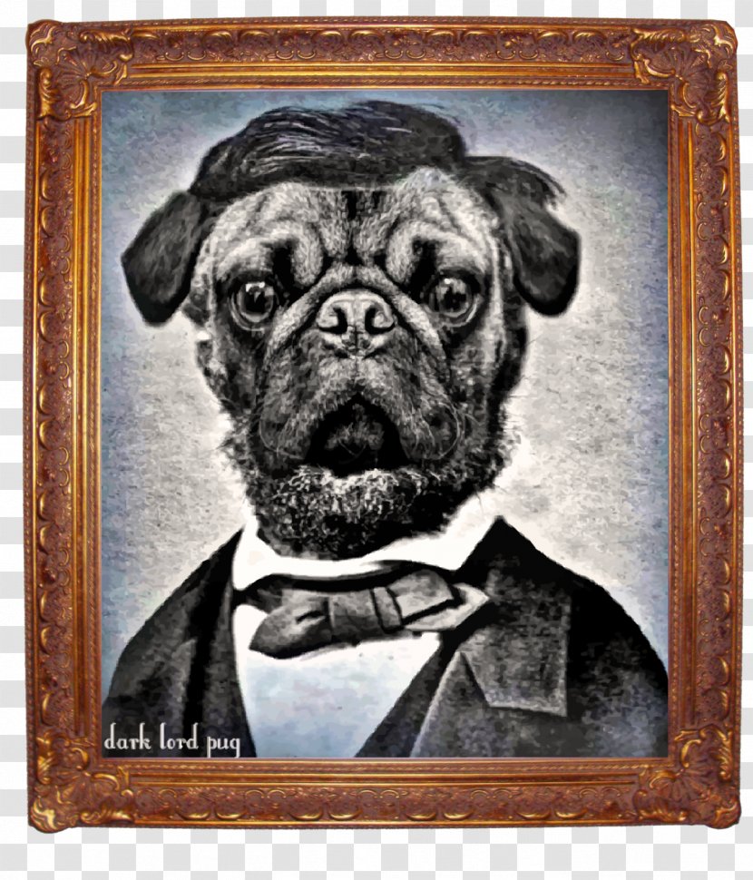 Pug Dog Breed Mill Creek Toy Picture Frames - Americas - Dvd Transparent PNG
