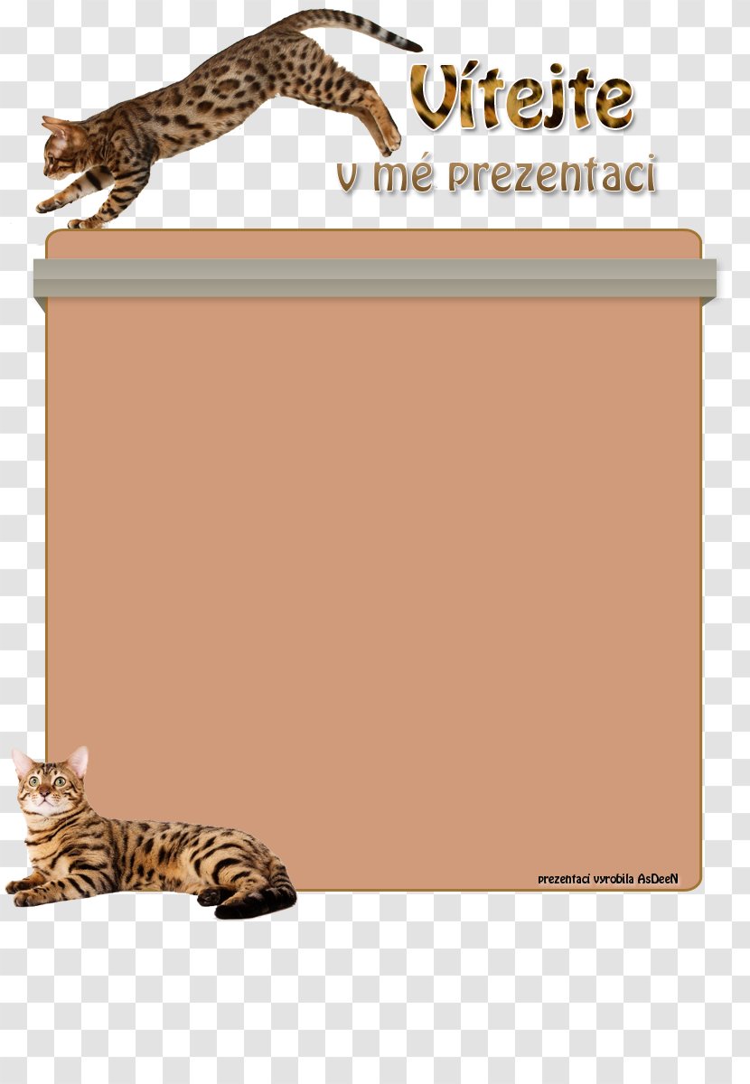 Cat Tiger Diet Food Rice - Big Transparent PNG