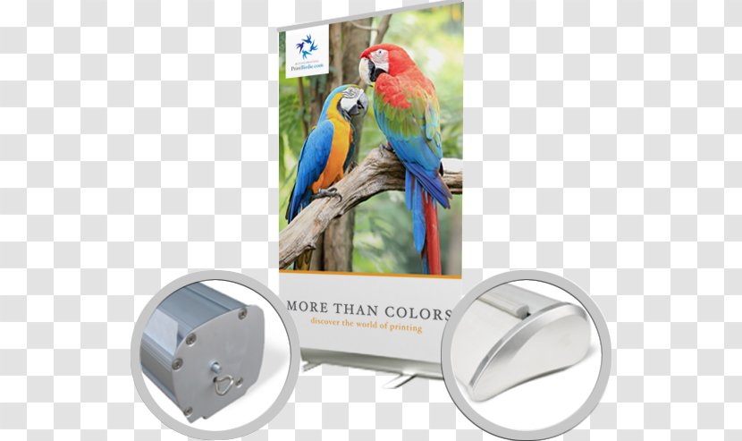 Macaw Bird Advertising Beak Feather - Parrot - Roll Up Banners Transparent PNG