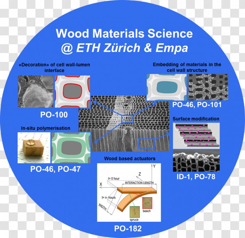 ETH Zurich Materials Science Paper - Organization Transparent PNG