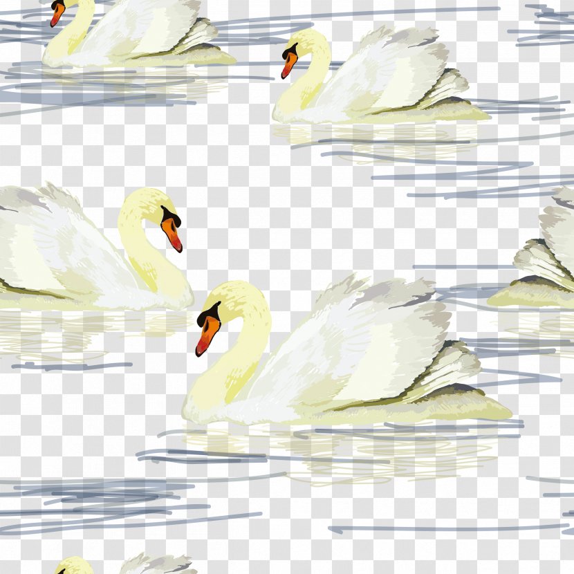 Cygnini Duck Illustration - Ducks Geese And Swans - Beautiful Swan Background Transparent PNG