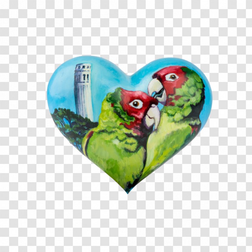 Macaw Hearts In San Francisco Charles Zukow & Associates Animal Connection II Artist - Beak - Teacher Transparent PNG