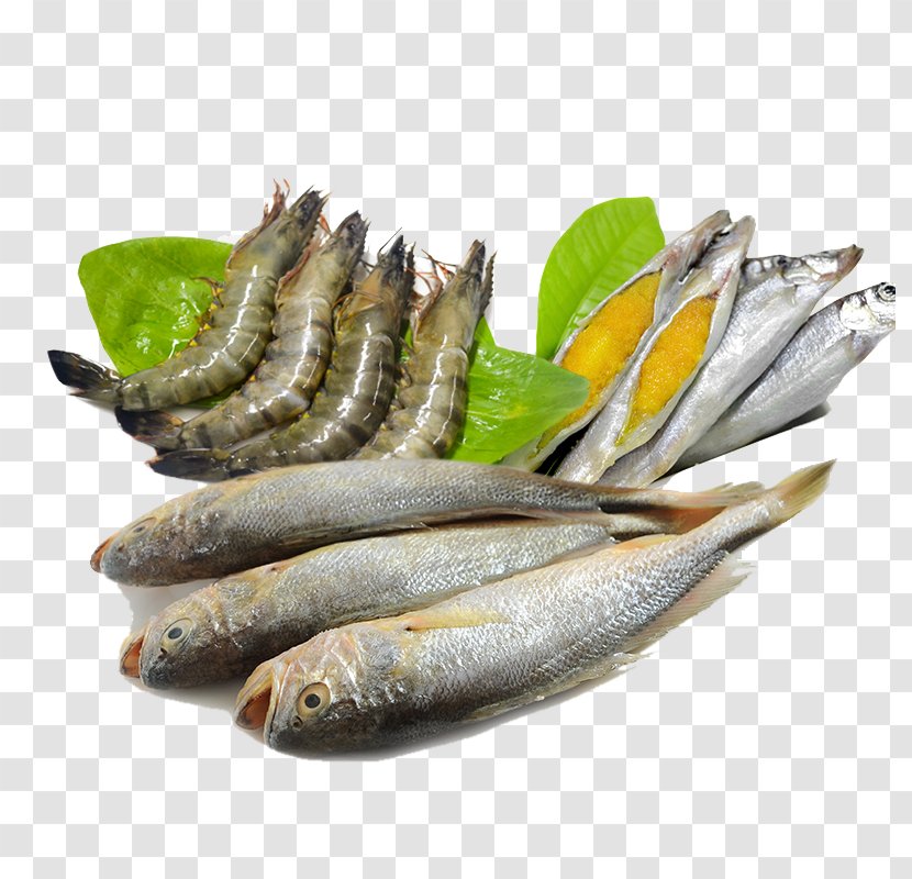 Caridea Sashimi Fish Seafood - Animal Source Foods - And Transparent PNG