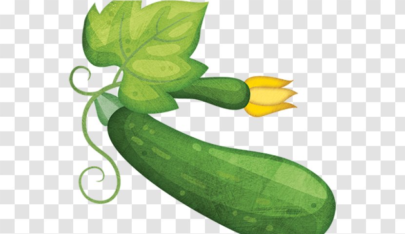 Green Leaf Background - Armenian Cucumber Vegan Nutrition Transparent PNG
