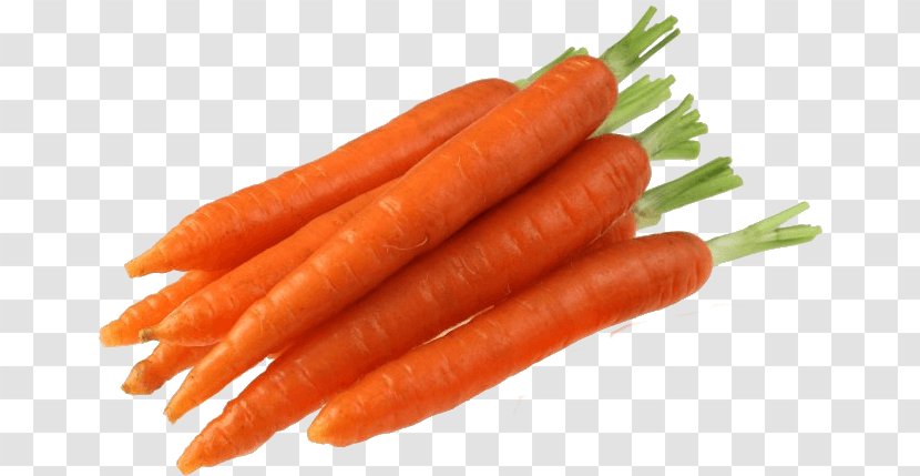 Juice Baby Carrot Vegetable Rabbit - Apiaceae - Plant Transparent PNG