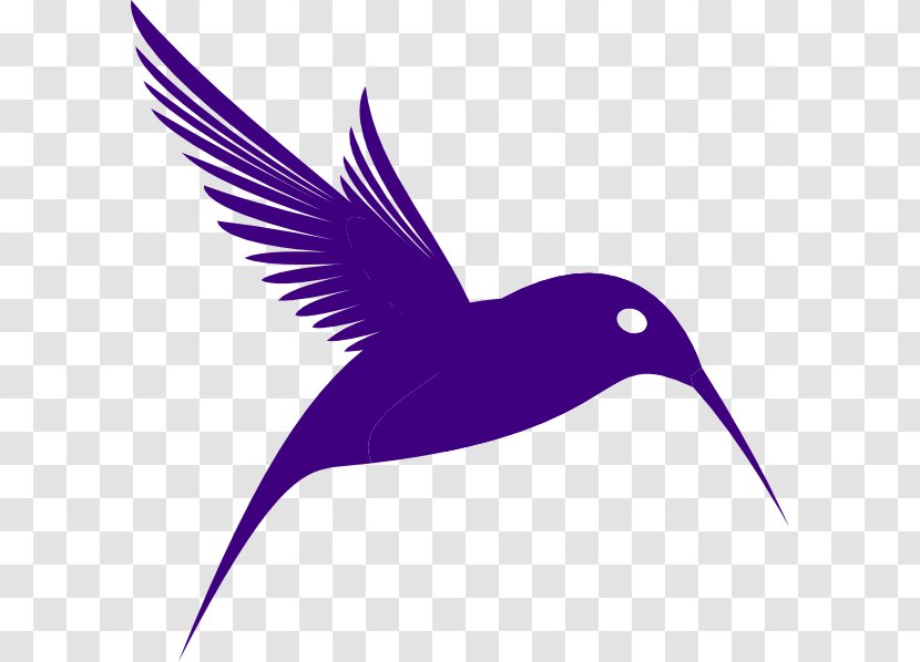 Bird Purple Clip Art - Drawing - Cliparts Transparent PNG