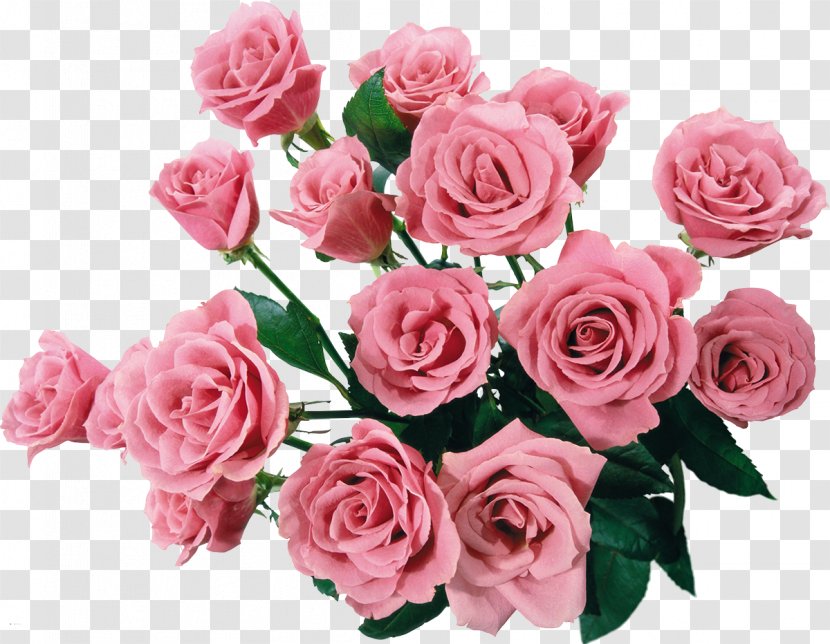 Flower Bouquet Rose Clip Art - Of Flowers Transparent PNG