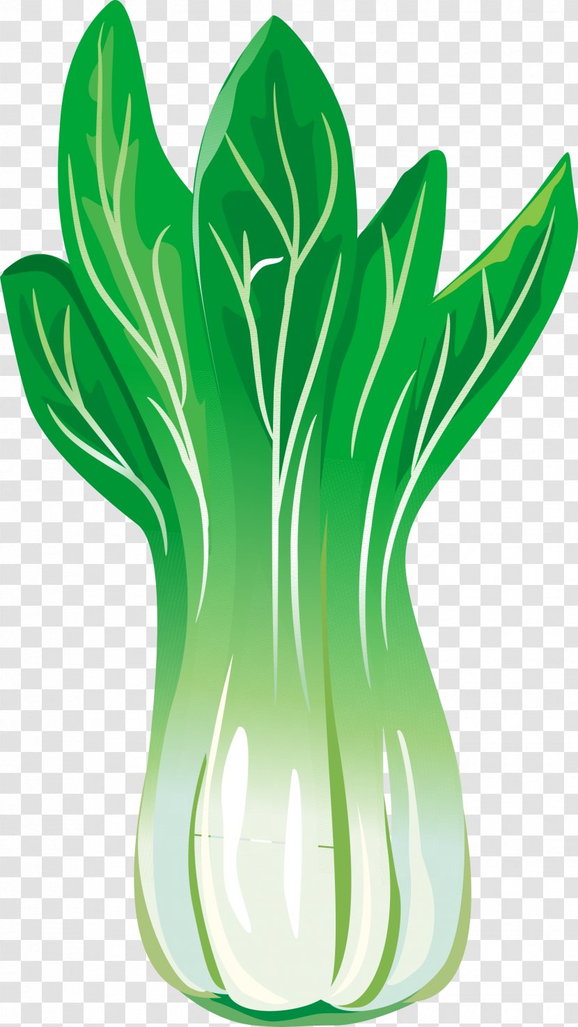 Chinese Cabbage Leaf Vegetable - Green Vegetables Transparent PNG