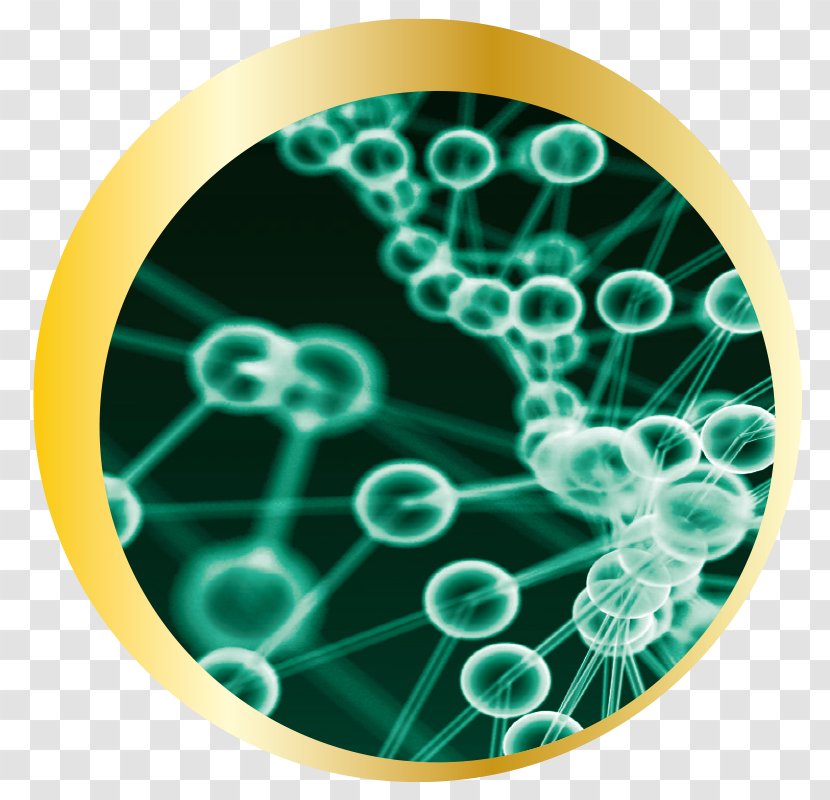 Nanocell Wrinkle Skin Epidermis - Contrast Agent Transparent PNG