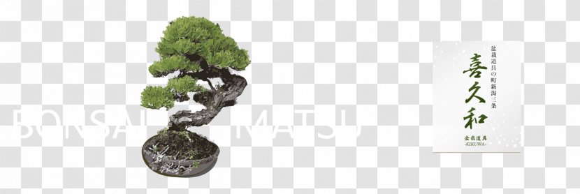 Flowerpot Branching - Plant - Japanese Bonsai Transparent PNG