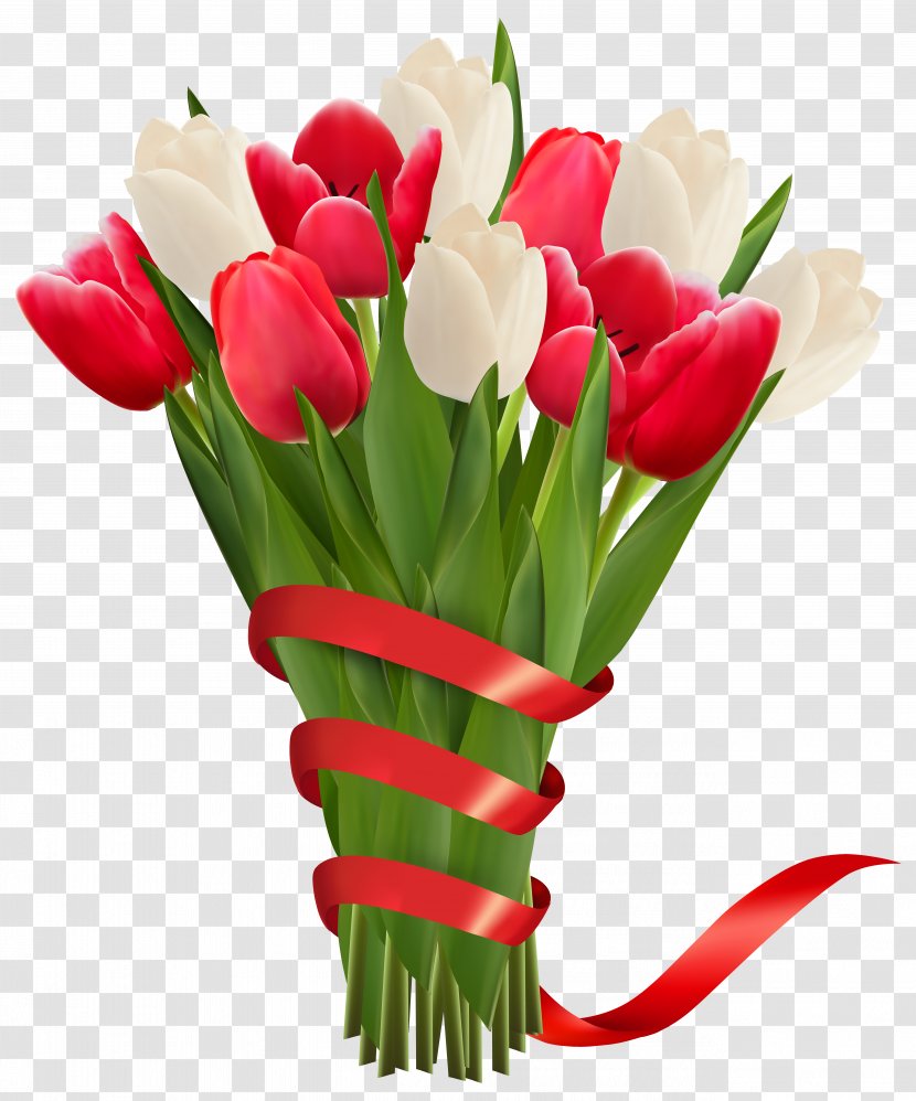 White And Red Tulips With Ribbon Clipart Image - Garden Roses - Flower Arranging Transparent PNG