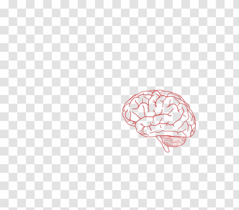Brain Organism Mug Font - Heart - Cartoon Picture Of A Transparent PNG