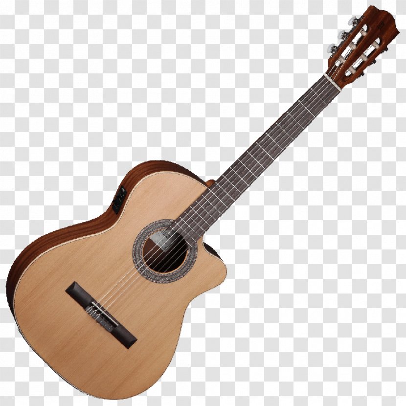 Twelve-string Guitar C. F. Martin & Company Acoustic-electric Steel-string Acoustic - Parlor Transparent PNG
