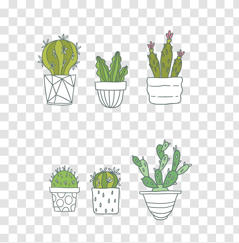 Cactaceae Succulent Plant Clip Art - Portable Document Format - Vector Cactus Collection Transparent PNG