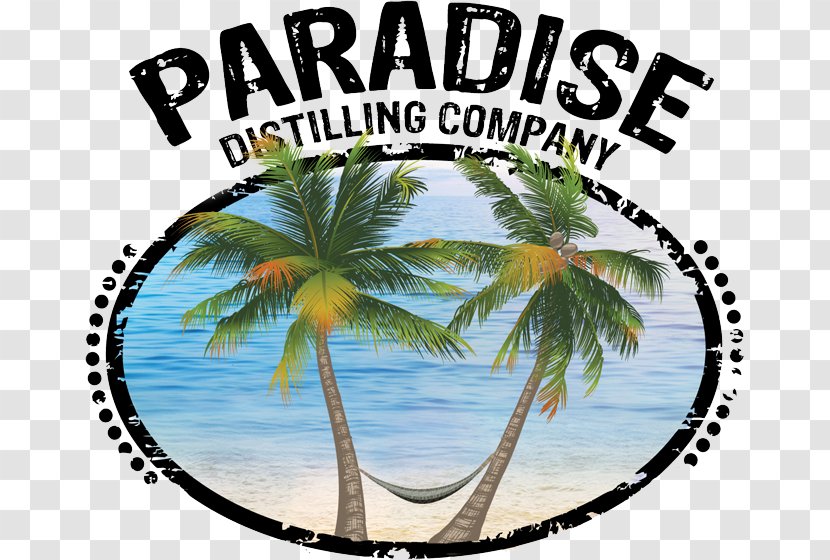 Paradise Distilling Company Zeke's Island Cafe Berger Joseph MD Coconut YouTube - Tree Transparent PNG