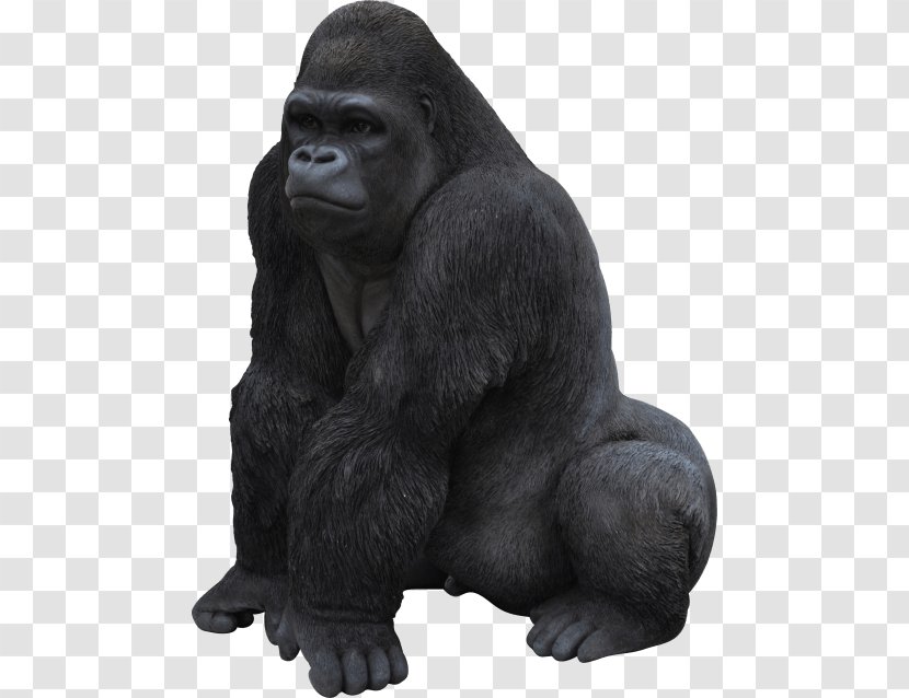 Ape Primate Western Gorilla Garden Ornament Common Chimpanzee - Monkey Transparent PNG