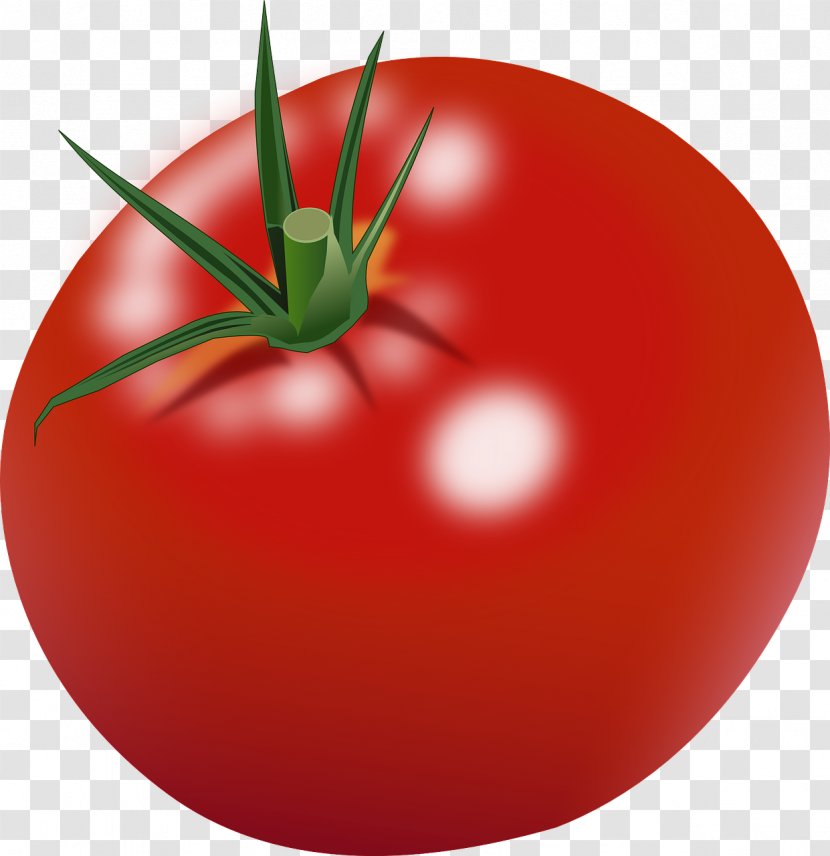 Cherry Tomato Clip Art - Plum - Tomatoes Transparent PNG
