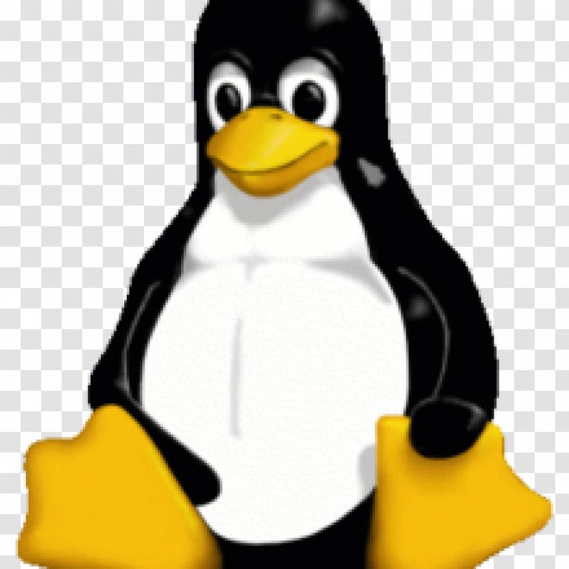 Pingus Tux Linux Distribution Installation Transparent PNG