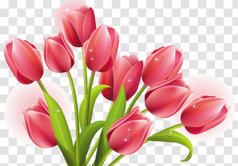 Tulip Mania Arranging Cut Flowers Clip Art - Flower Bouquet Transparent PNG