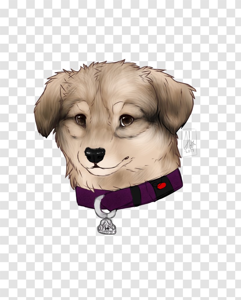 Dog Breed Puppy Sporting Group Companion - Paw Transparent PNG
