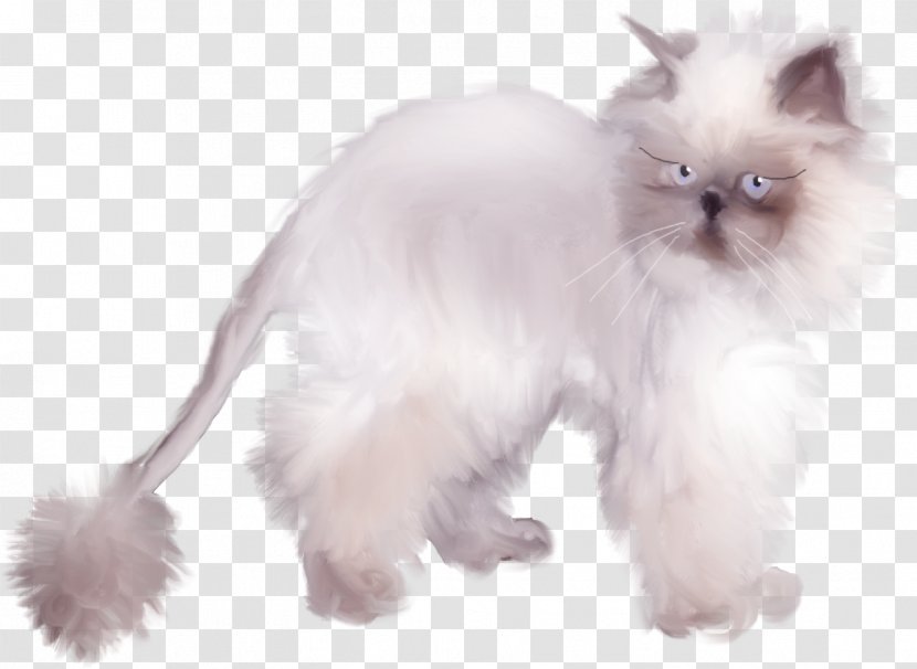 Persian Cat Birman Himalayan Asian Semi-longhair Ragdoll - Black Transparent PNG