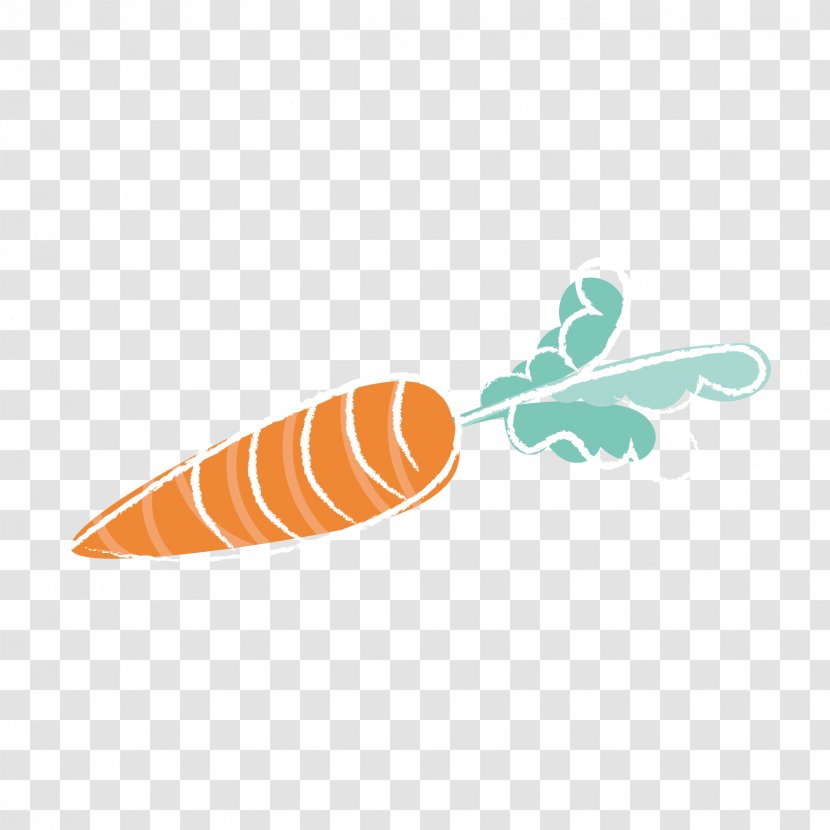 Carrot Euclidean Vector Image Graphics - Stock - Carot Design Element Transparent PNG