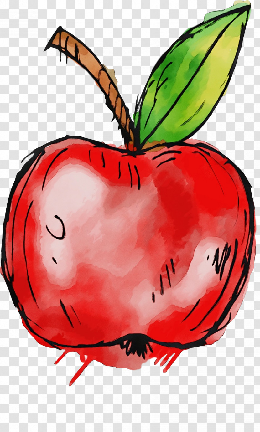 Insect Vegetable Fruit Apple Transparent PNG