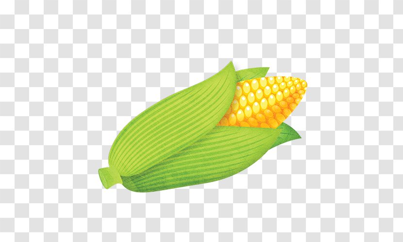 Sweet Corn On The Cob Vegetarian Cuisine Kernel Food - Sugar - Bok Choy Transparent PNG