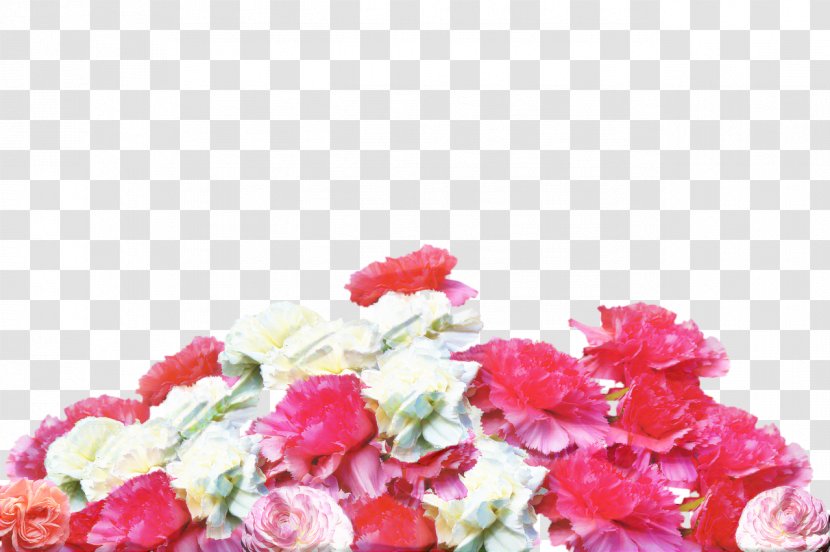 Pink Flowers Background - Rose Order - Hydrangea Perennial Plant Transparent PNG