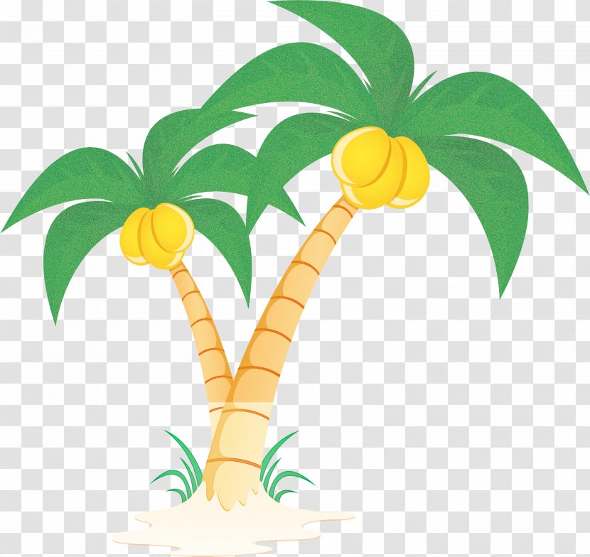 Palm Tree - Woody Plant - Houseplant Transparent PNG