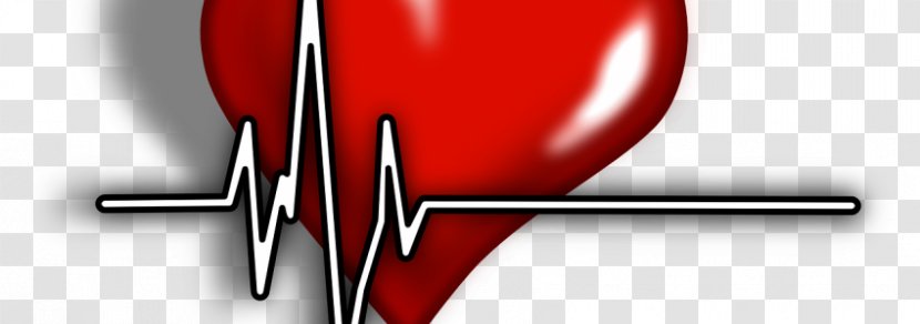 Pulse Cardiology Medicine Physician Heart - Flower - Coronary Artery Disease Transparent PNG
