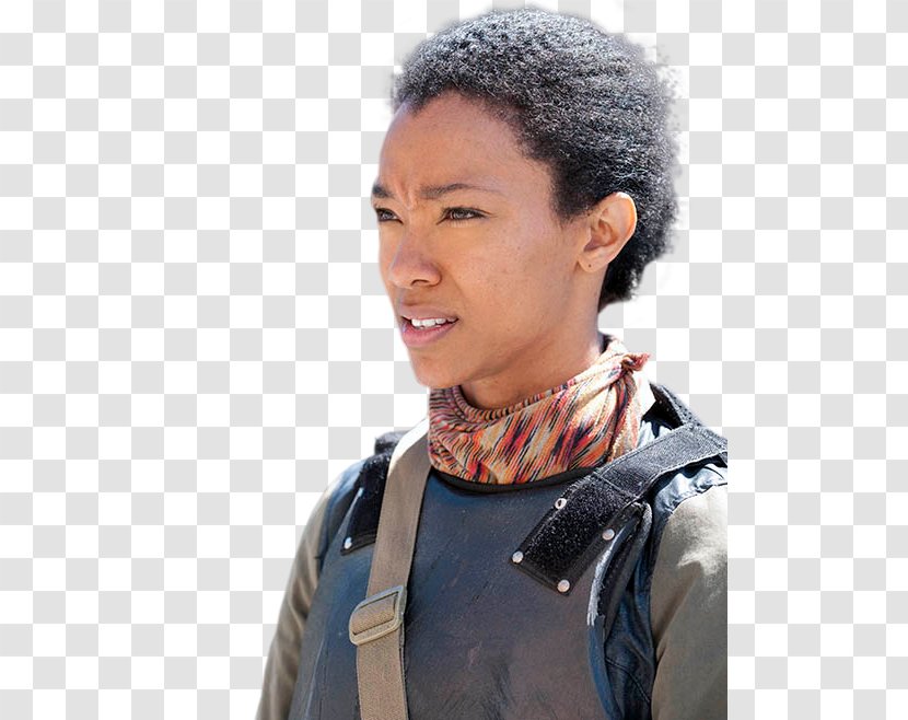 Sonequa Martin-Green The Walking Dead - Sasha Williams - Season 4 Daryl DixonThe Transparent PNG