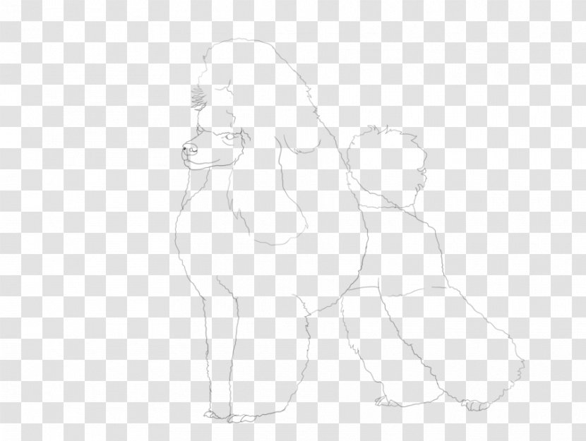 Lion Horse Cat Mammal Sketch - Heart Transparent PNG