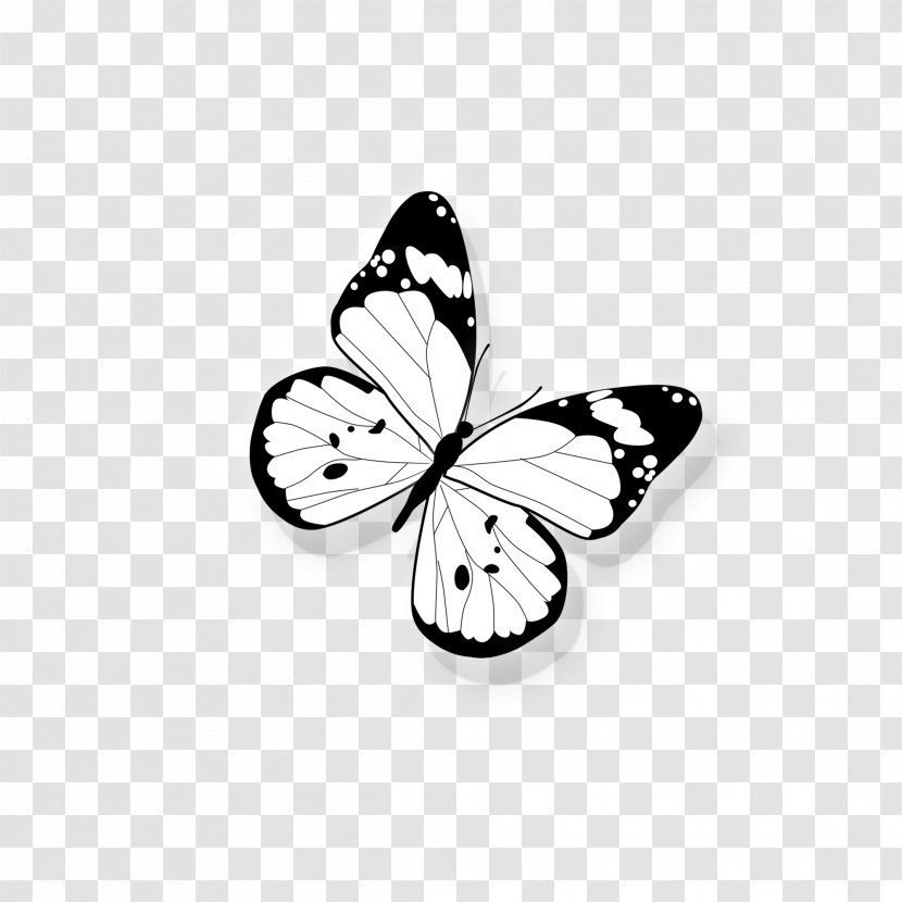 OnePlus 5T Computer File - Wallet - Butterfly Transparent PNG