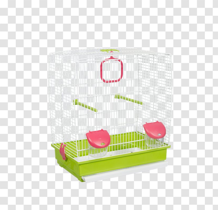 Bird Domestic Canary Cage Budgerigar Aviary - True Parrot Transparent PNG