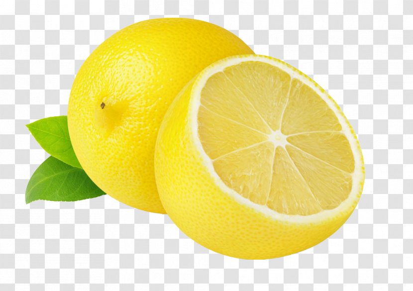 Lemonade Juice Fruit Cup Lime - Herb - Lemon Transparent PNG
