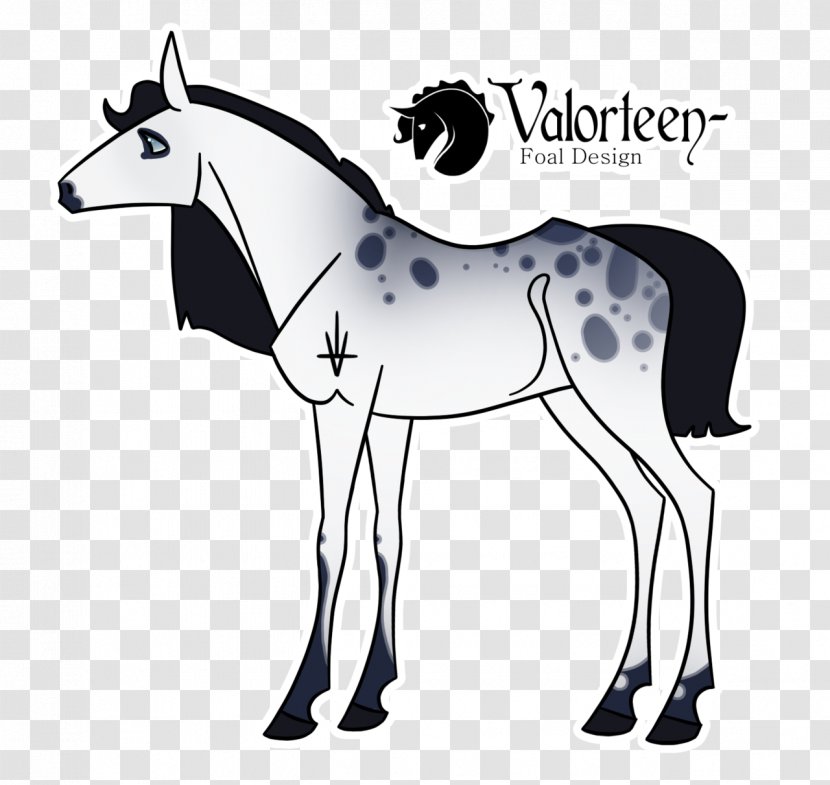 Mule Foal Stallion Mustang Mare - Horse Like Mammal - Veiled Transparent PNG