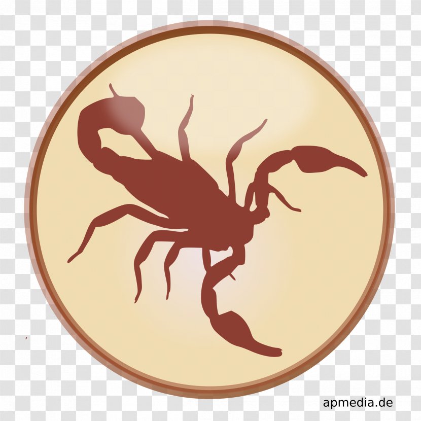 Scorpion Clip Art - Blog - Scorpions Transparent PNG