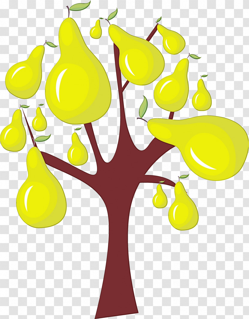 Yellow Line Meter Tree Fruit Transparent PNG