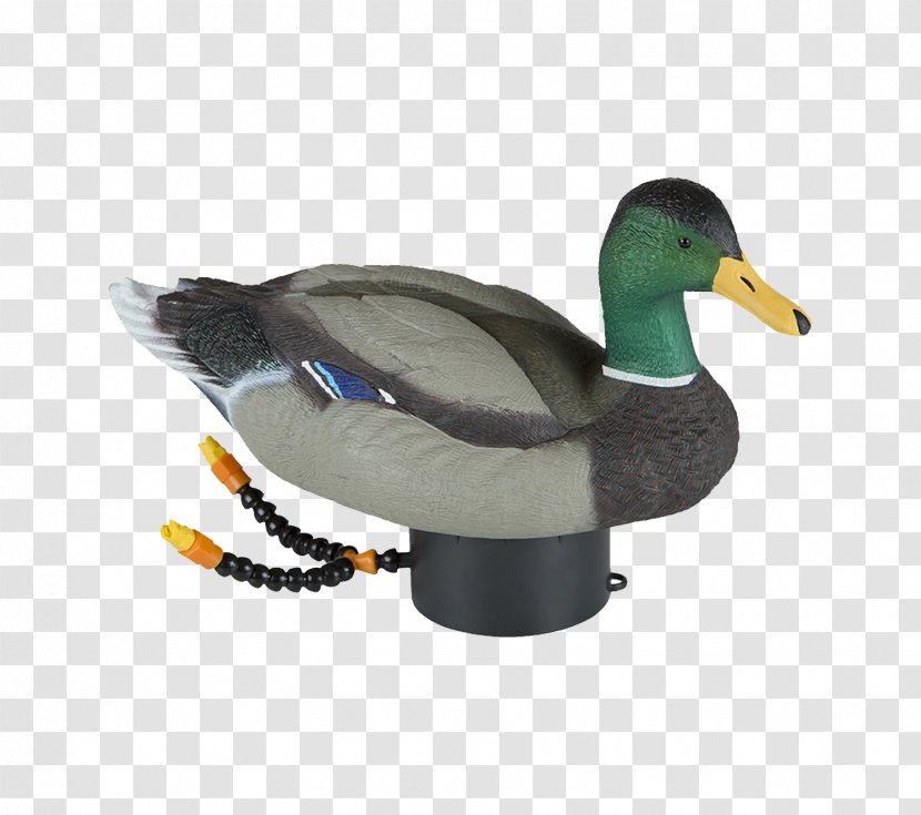 Duck Decoy Mallard Goose - Waterfowl Hunting Transparent PNG