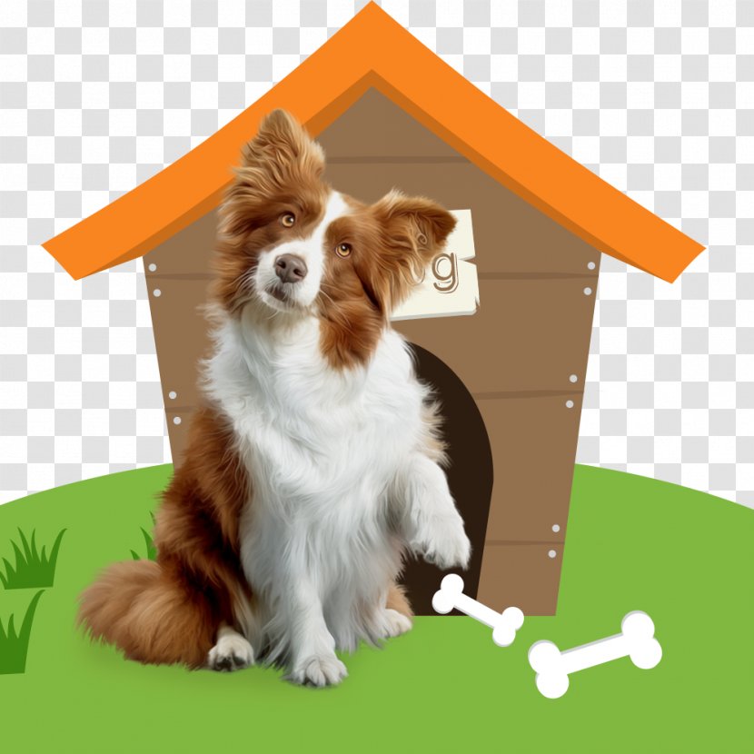 Dog Breed Cat Pet Companion - Like Mammal - House Transparent PNG