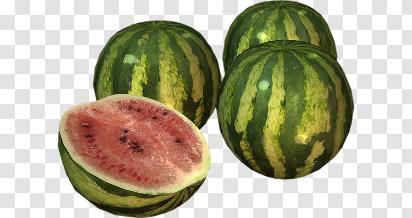 Watermelon Food Cucumis Winter Squash Eating - Vegetable Transparent PNG