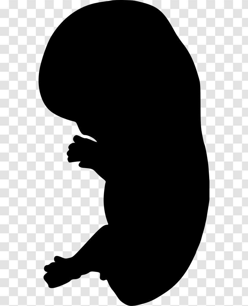 Embryo Silhouette Clip Art - Black And White Transparent PNG