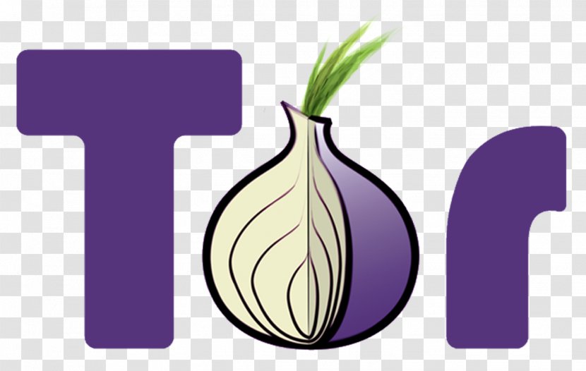 Tor .onion Onion Routing The Hidden Wiki Anonymity Transparent PNG
